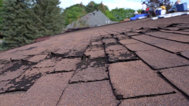 Best Green or Eco-Friendly Roofing Solutions  in Piedmont, SC