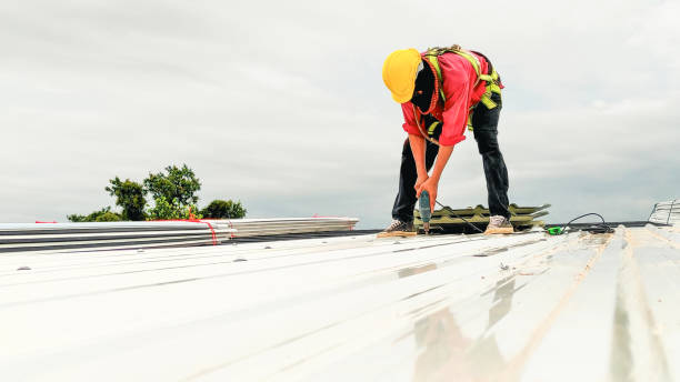 Best Roof Insulation Installation  in Piedmont, SC