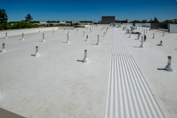 Best Roof Coating and Sealing  in Piedmont, SC